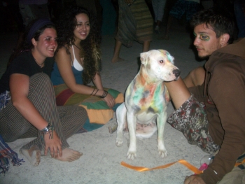 Matala Festival 2012 Hippies Reunited